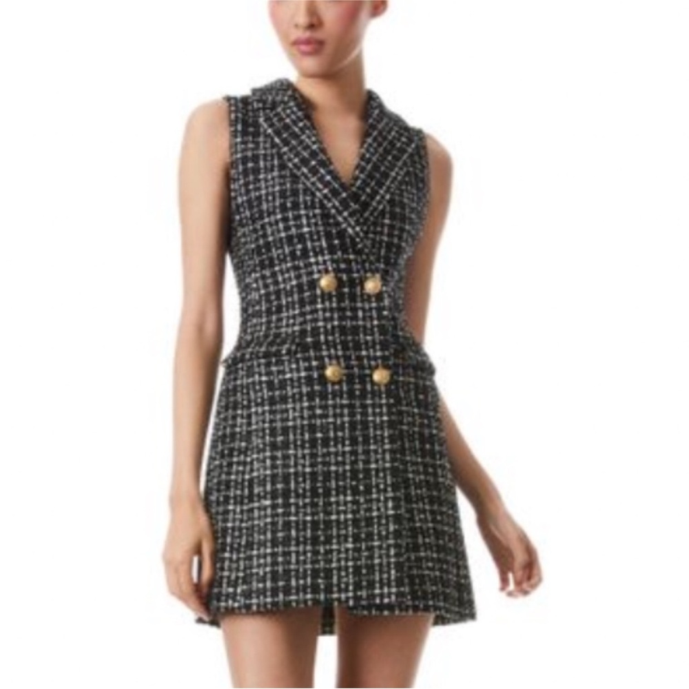 Alice and Olivia Jordy dress